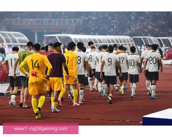 2026世界杯全球志愿者培训手册解读与服务规范实践指南应用篇 2026世界杯全球志愿者培训手册解读与服务规范实践指南应用篇